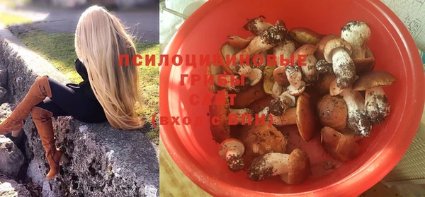 прущие крисы Белоозёрский