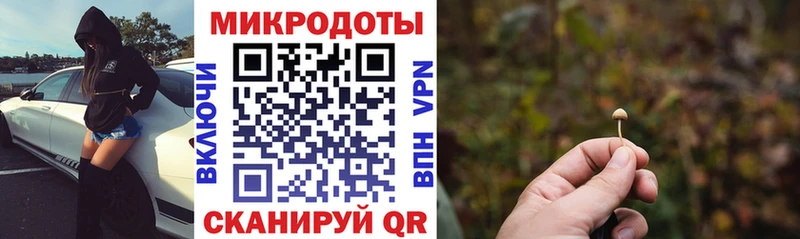 mega сайт  Биробиджан  Псилоцибиновые грибы MAGIC MUSHROOMS 